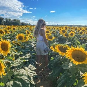 Meet your Posher, Dana